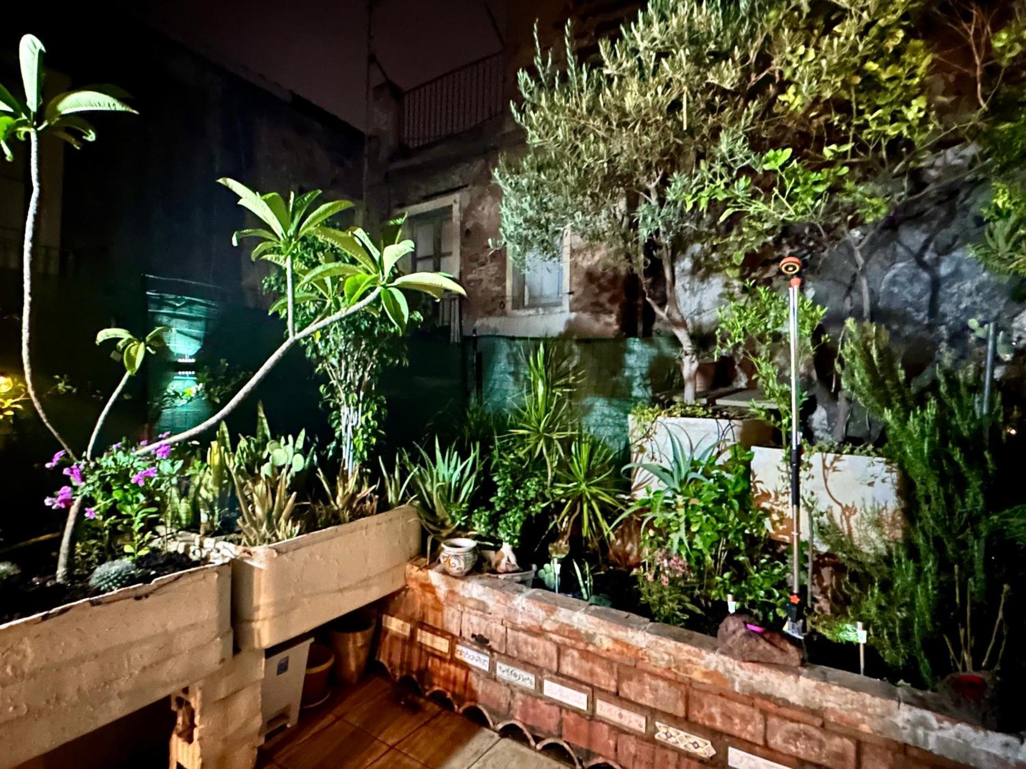 Casa Vulcano Catania Exterior photo